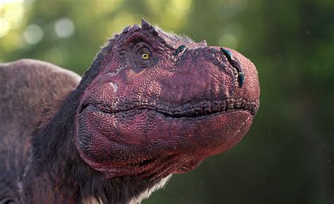 Dinosaurs In The Wild Stunning Pictures Of The Huge Dino Show Coming