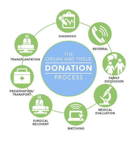 Donor Alliance Organ And Tissue Donation Process Donor Alliance