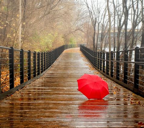 The Ultimate Collection Of Rainy Day Images Over 999 Spectacular