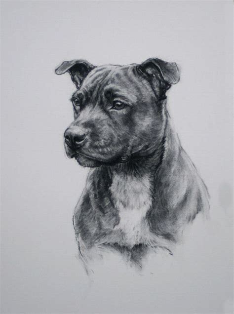 Staffordshire Bull Terrier Dog Print Black And White Art Dog Etsy Uk
