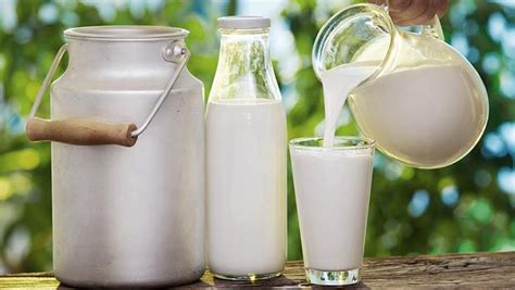 Maybe you would like to learn more about one of these? List of healthy dairy products - 7 most nutritional products