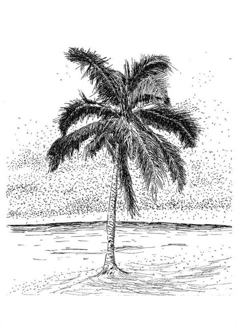 Palm Tree Pencil Drawing Images