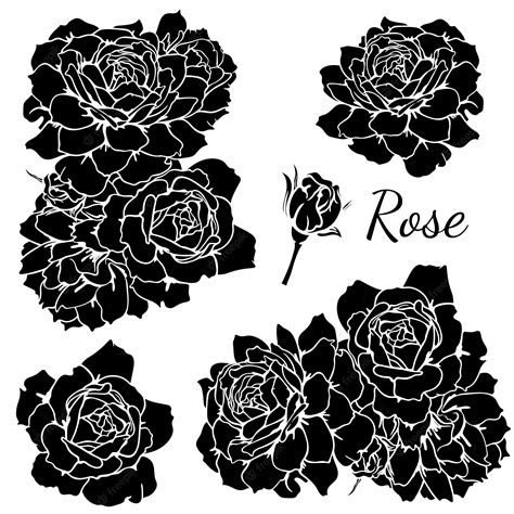 Векторный набор монохромных розовых цветов черно белая роза векторная