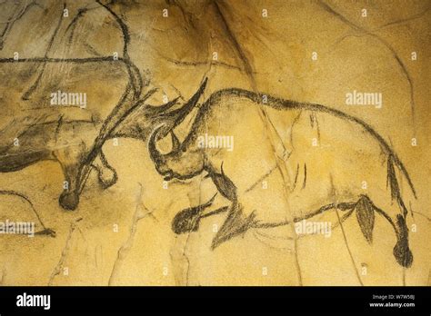Woolly Rhinoceros Cave Art Hi Res Stock Photography And Images Alamy