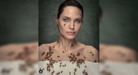 Angelina Jolies Bee Story Behind Her Recent Picture That Has Gone