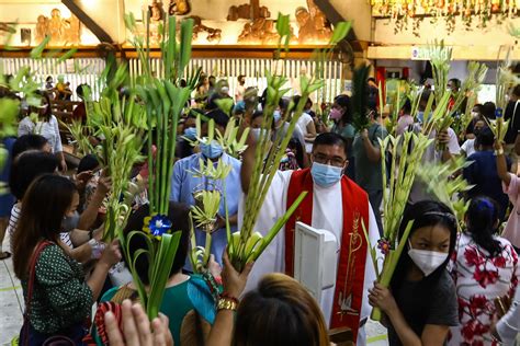 What Has Changed In Me A Palm Sunday Reflection Catholic News