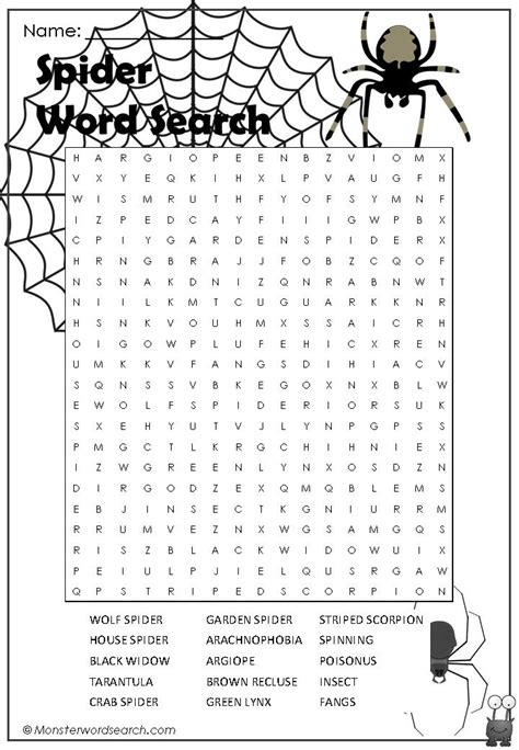 Cool Spider Word Search