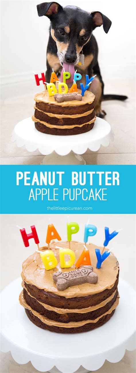 Unlike cakes for people, puppy cakes are healthy and safe for your dog. Peanut Butter Apple Pupcake | Recipe (With images) | Dog cake recipes, Dog cakes, Dog food recipes