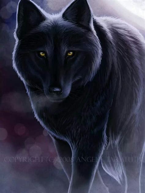 Pin By Patty Fryman On Wolves Shadow Wolf Wolf Artwork Wolf Love