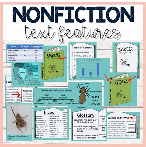 Nonfiction Text Features Posters
