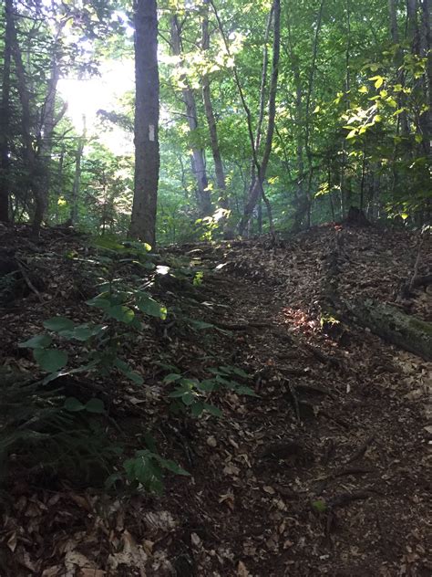 7 stony brook to cloudland shelter birthday girl hikes