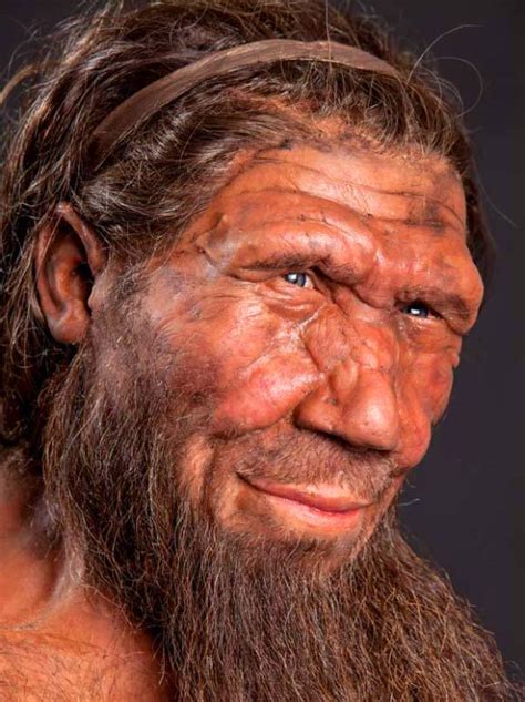 Scientists Identify Neanderthal Genes In Modern Human Dna