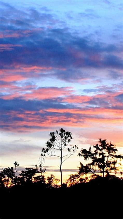 Nature Sunset Cloud Skyscape Woodland Landscape Iphone 5s Wallpaper
