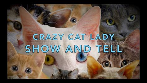 Crazy Cat Lady Show And Tell ~ Scooperdoodle Asmr Youtube