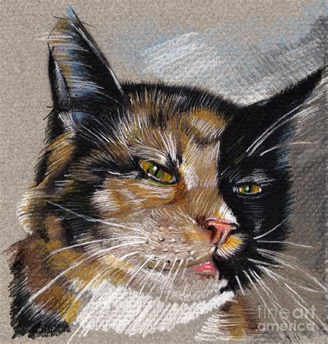 Cat Portrait Green Eyes Drawing By Daliana Pacuraru Fine Art America