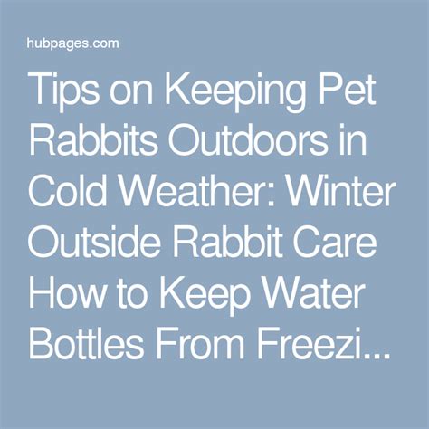 Cold Weather Care For Outdoor Rabbits Rabbit Care Pet Rabbit Pets