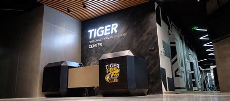Tiger Gym Dongjiao Center Damo