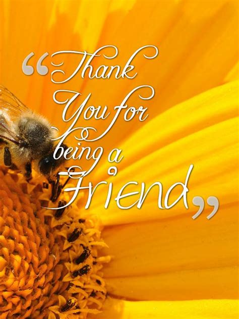 Thank You For Being A Friend Pictures Photos And Images For