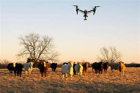 5 Applications Of Drone Technology In Agricultural