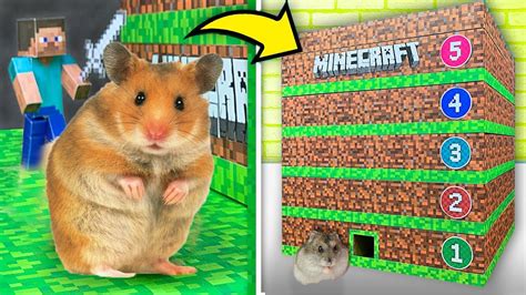 Hamsters In A 5 Level Minecraft Maze Hamster Maze Race Youtube