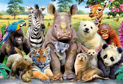 Montería Celebrará Día Mundial De Los Animales El Próximo 4 De Octubre
