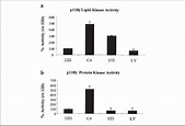 Increased p110 activity is observed in C4 cells. a, equal amounts of ...