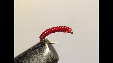 Fly Tying A Red Midge Pattern Midge Flyhow To Tie A Red Midge Nymph