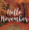 Hello November | Hello november, November pictures, November wallpaper