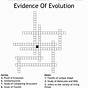 Evidence For Evolution Worksheets Answer