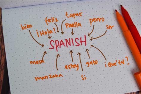 100 Common Spanish Phrases To Survive Any Situation