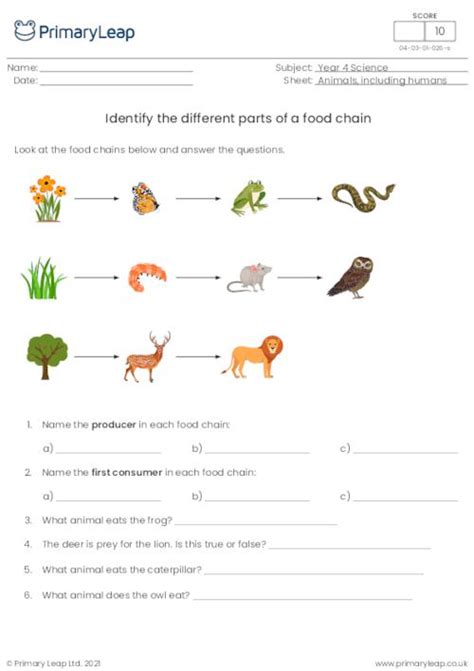 Science Parts Of The Food Chain Worksheet Uk