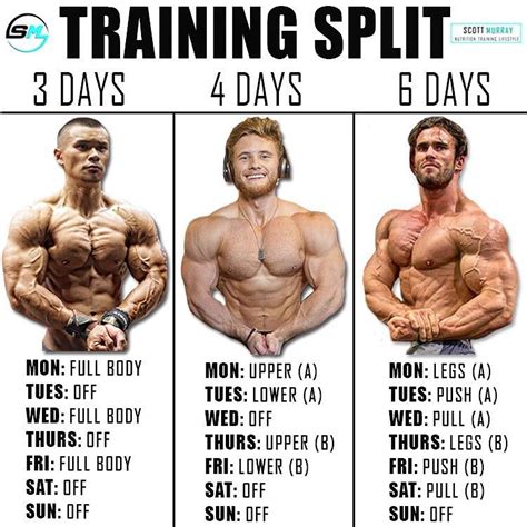 8 Powerful Muscle Building Gym Training Splits Gym Workout Chart Bodybuilding