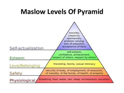 Maslow And Herzberg Theories Of Motivation
