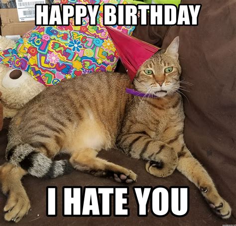 Happy Birthday I Hate You Angry Birthday Cat Meme Generator