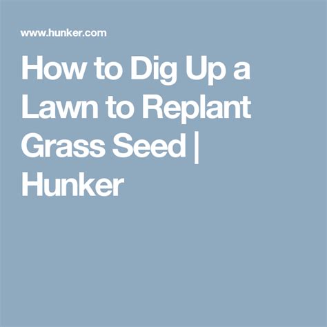 How To Dig Up A Lawn To Replant Grass Seed Hunker Grass Seed