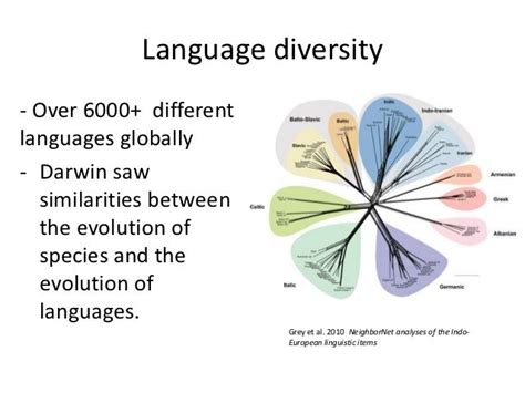 Evolution Of Human Language Final