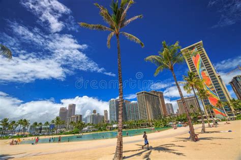 Hilton Hawaiian Village Image Stock éditorial Image Du Paumes 77669319