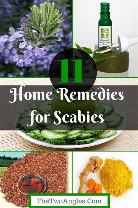 The Scabies 24hr Natural Remedy Report Review Does It Work Or Not