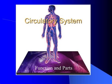 Circulatory Systemppt