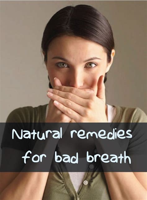 bad breath natural remedies for bad breath bad breath remedy natural remedies natural