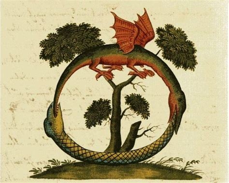 Medieval Ouroboros Art Print Antique Alchemical Drawing Etsy