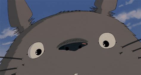 Tonari No Totoro S Find And Share On Giphy