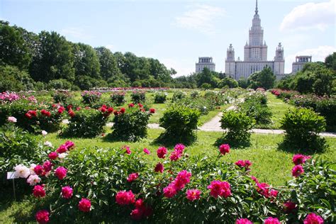 Tours Botanical Gardens Moscow Amazing Gardens