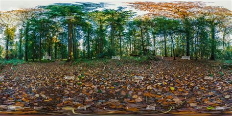 360° View Of Ballyfad Forest Co Wexford Ireland 360 Panorama Alamy