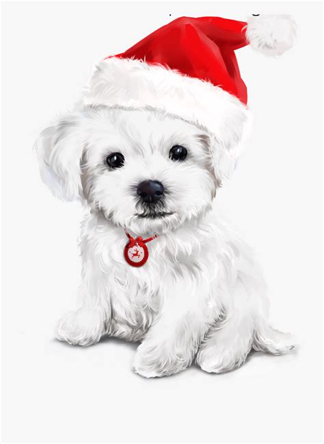 Golden retriever dog wearing a santa hat vector. Merry Christmas Dog, Christmas Time, Various Artists ...