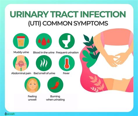 Uti Symptoms In Women