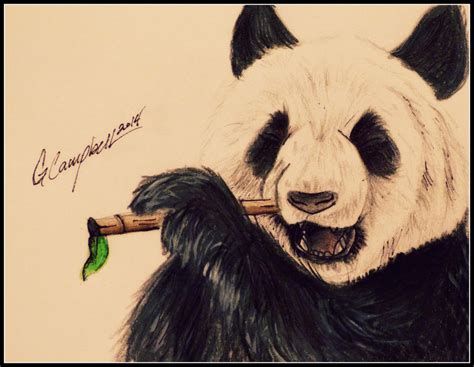 Panda Eating Bamboo By Gilly15 On Deviantart