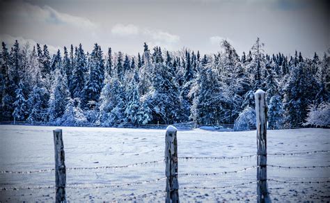 Winter Snow Fence Wallpaper Hd Nature 4k Wallpapers Images Photos