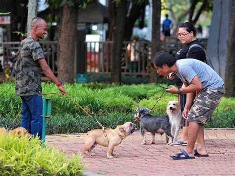 MLDSPOT | Jakarta Dog Lovers, Berbagi Rasa Sayang dengan Anjing Peliharaan