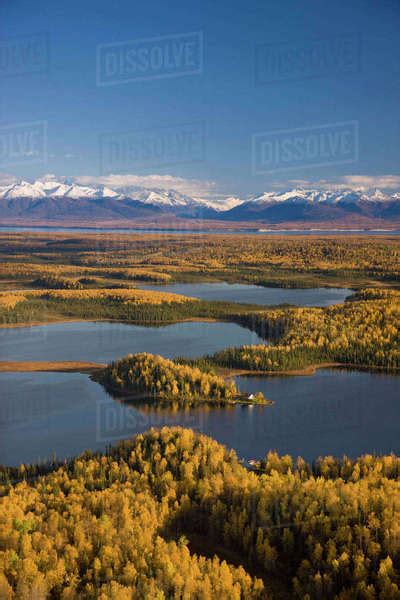 Aerial View Of The Lakes And Birch Forests At Point Mackenzie On The